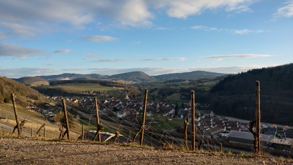Ausblick